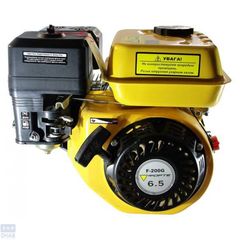 Двигатель бензиновый Forte F200G
