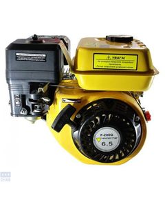 Двигатель бензиновый Forte F200G