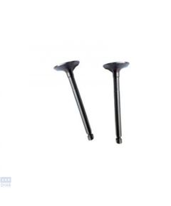 Клапана впускной и выпускной комплект 177F (0005848)