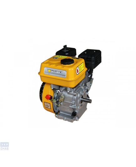 Бензиновый двигатель Forte F210GT-25