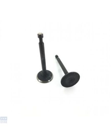 Клапана впускной и выпускной с большой проточкой 168F 170F (0000243)