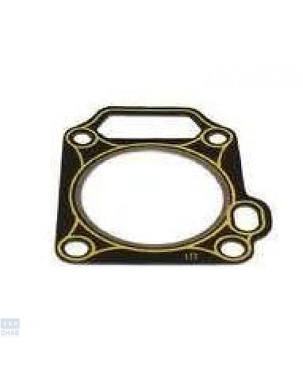 Прокладка головки блока 170F (0025528)