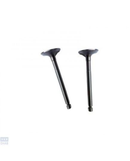 Клапана впускной и выпускной комплект 177F (0005848)