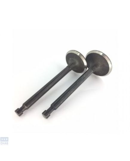 Клапана впускной и выпускной комплект 188F 190F (0005903)